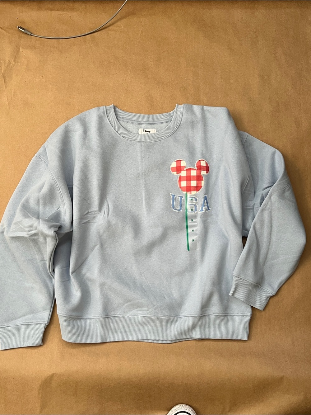 Disney Light Blue Sweatshirt with Red Gingham Mickey Balloon